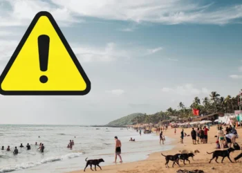 Indian international students drowning cases Canada
